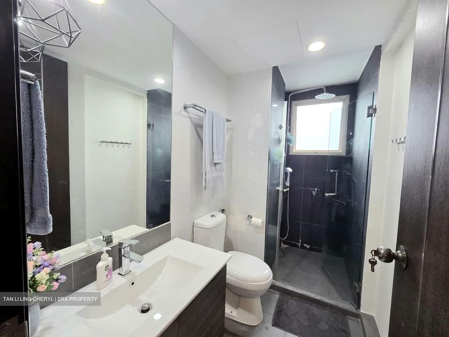 Lilydale (D27), Condominium #605095311